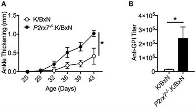 P2RX7 Deletion in T Cells Promotes Autoimmune Arthritis by Unleashing the Tfh Cell Response